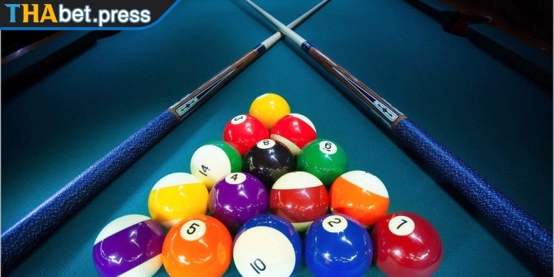 Cá Cược Bida THABET Và Hướng Dẫn Cách Chơi Hiệu Quả 1 Cá cược bida là gì?